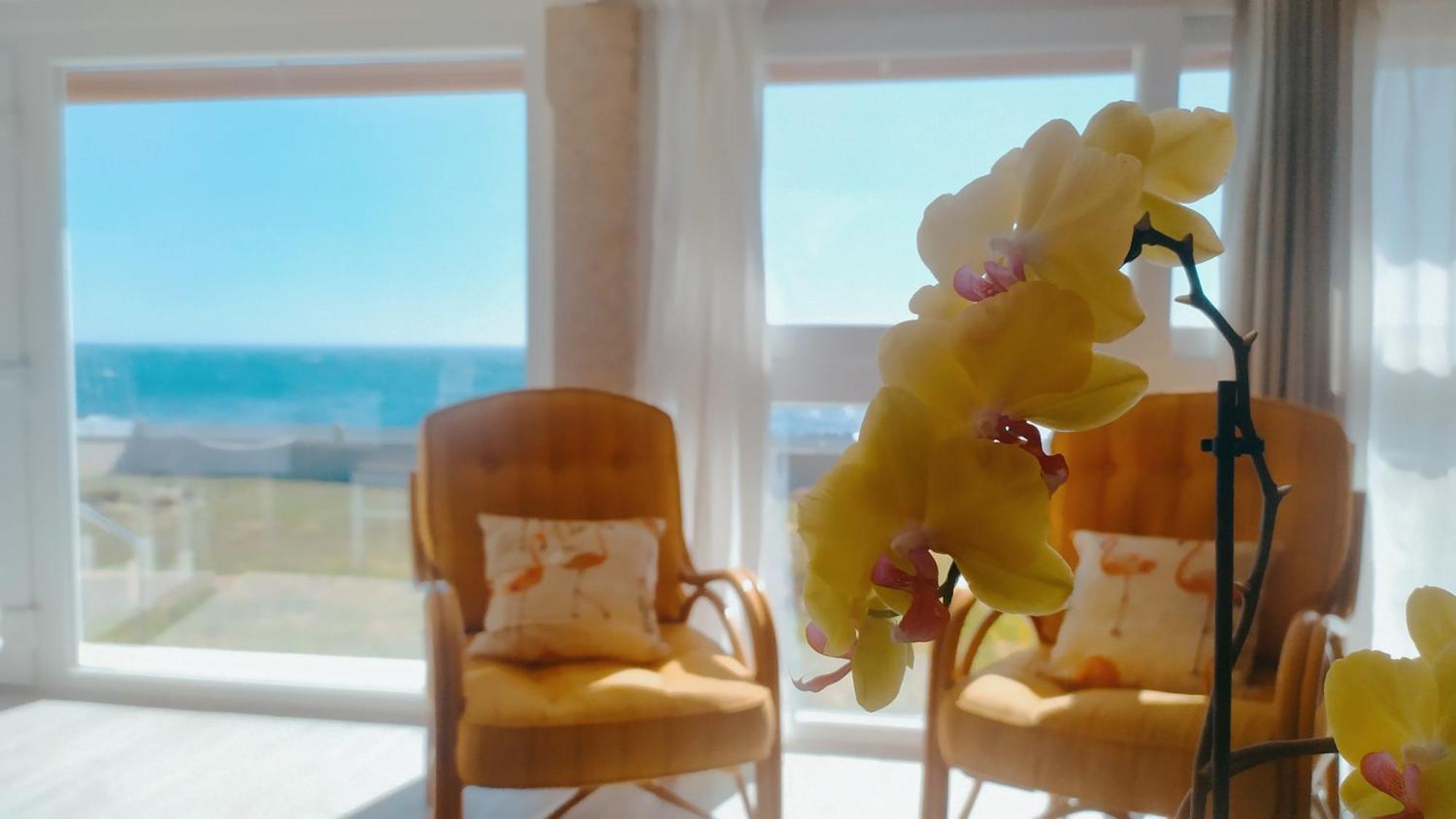Vive Tus Suenos Villa โอยา ภายนอก รูปภาพ